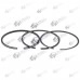 Kit piston Honda GCV 135, GCV 160 64mm (Terra)